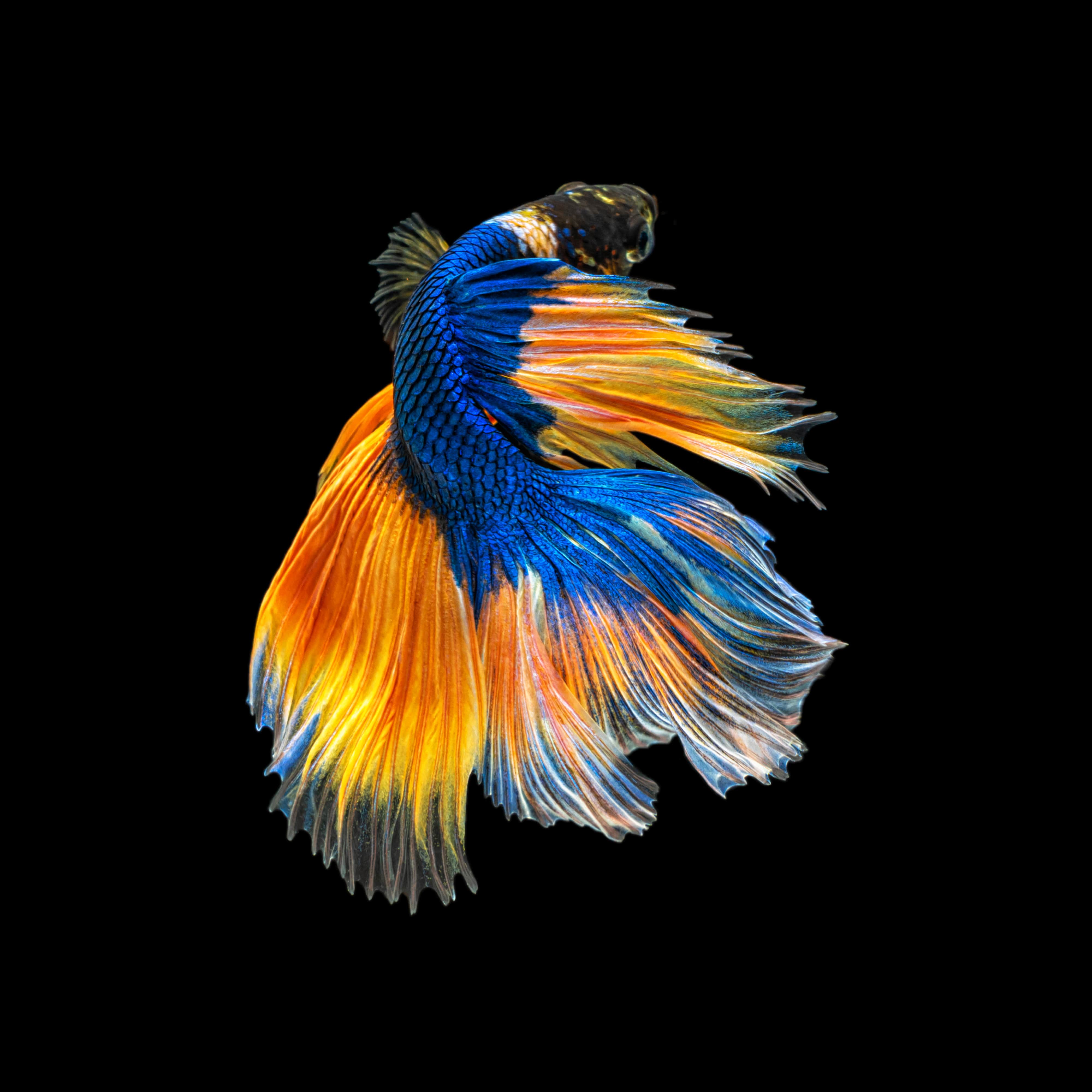 Harika müşterilerimizle birlikte anlamlı ürünler geliştiriyoruz